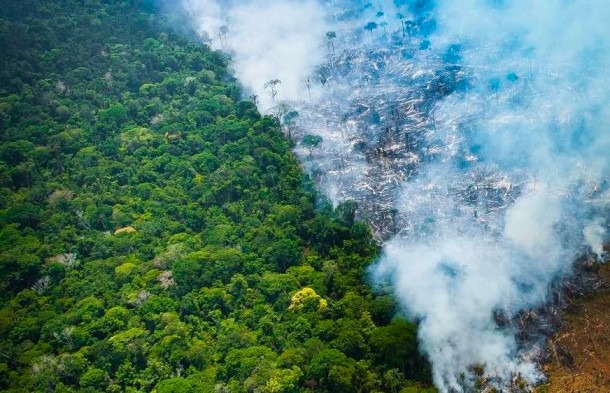 Incêndios na Amazónia aumentam 25%